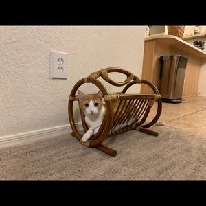 Boho Rattan Magazine Basket